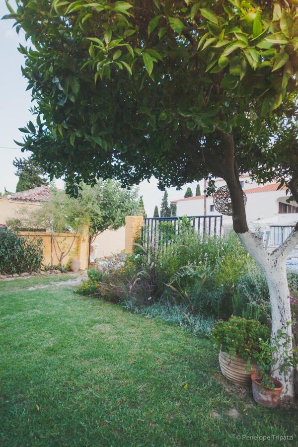 Small Guesthouse In The Garden Amarynthos Extérieur photo